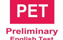 PET экзамен по английскому